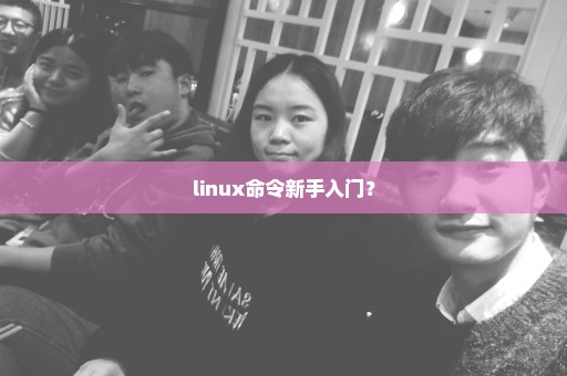 linux命令新手入门？