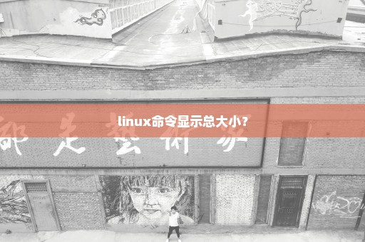linux命令显示总大小？