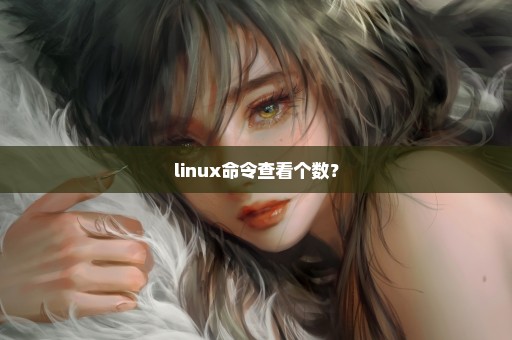 linux命令查看个数？