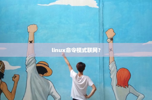 linux命令模式联网？