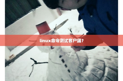 linux命令测试客户端？