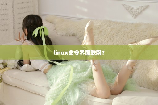 linux命令界面联网？