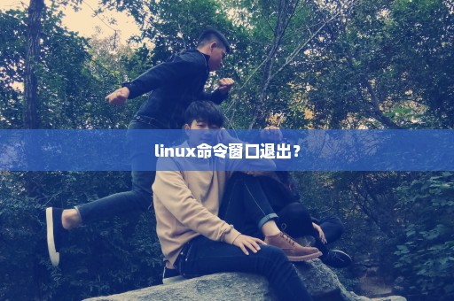 linux命令窗口退出？