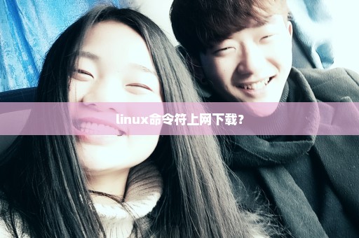 linux命令符上网下载？