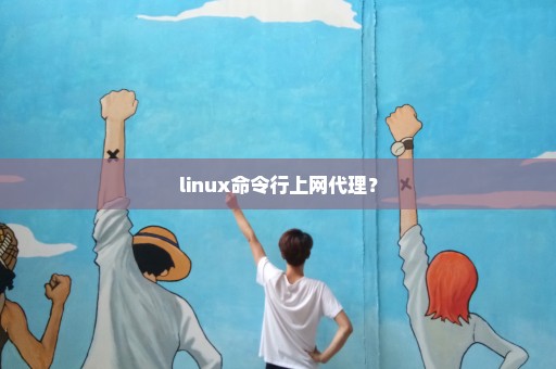 linux命令行上网代理？