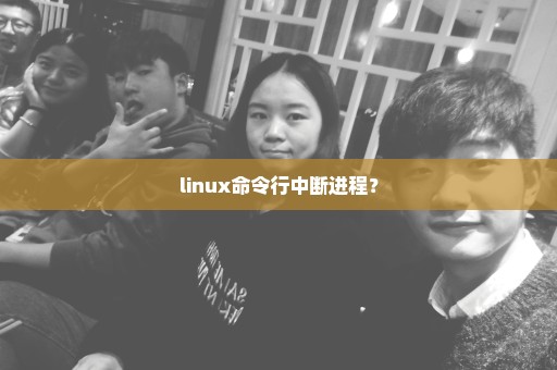 linux命令行中断进程？