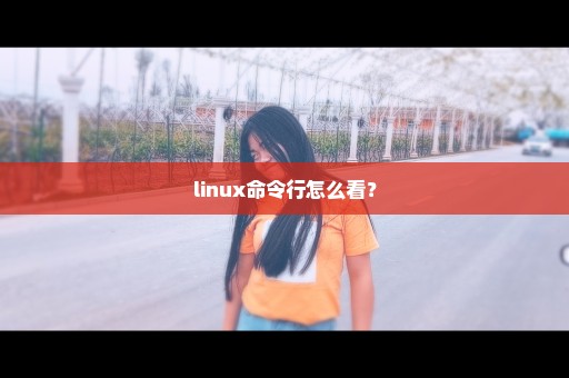 linux命令行怎么看？
