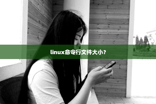 linux命令行文件大小？