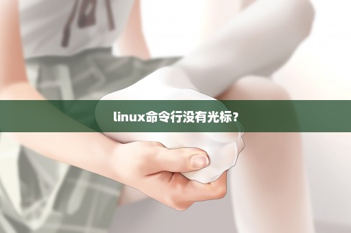 linux命令行没有光标？