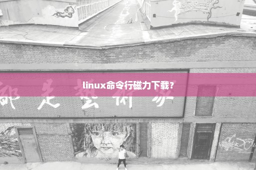 linux命令行磁力下载？