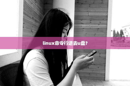 linux命令行进去u盘？