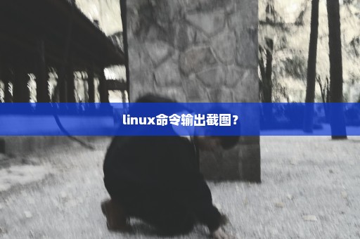 linux命令输出截图？