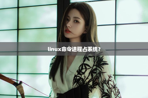 linux命令进程占系统？