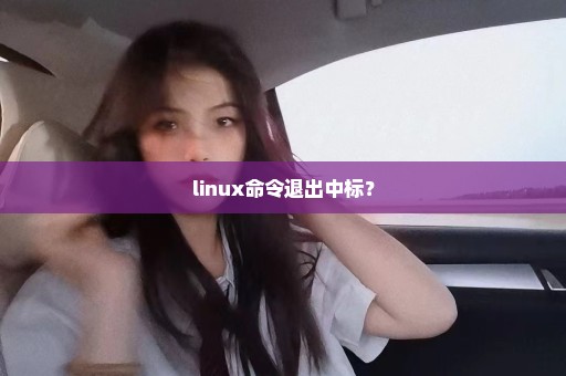linux命令退出中标？