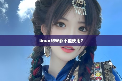 linux命令都不能使用？