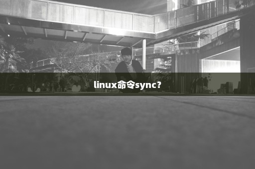 linux命令sync？
