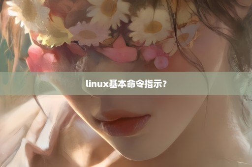 linux基本命令指示？