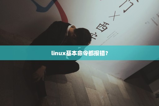 linux基本命令都报错？