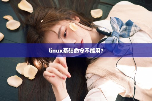 linux基础命令不能用？