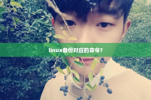 linux备份对应的命令？