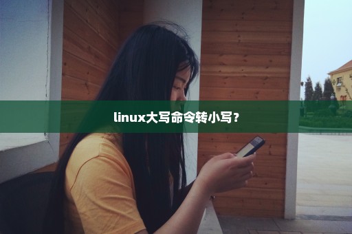 linux大写命令转小写？