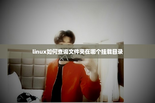 linux如何查询文件夹在哪个挂载目录