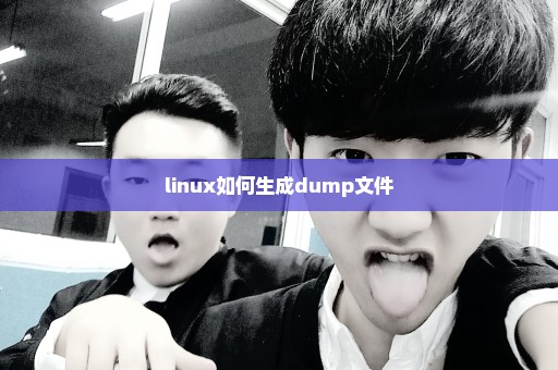 linux如何生成dump文件
