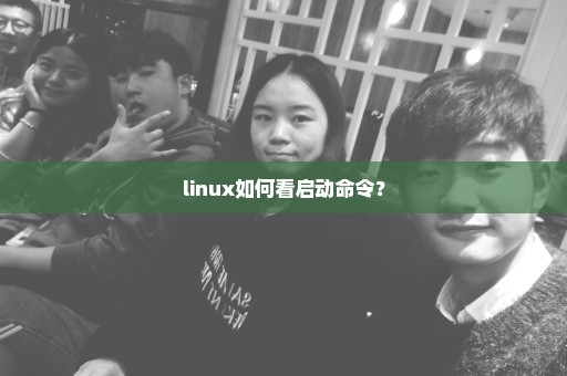 linux如何看启动命令？