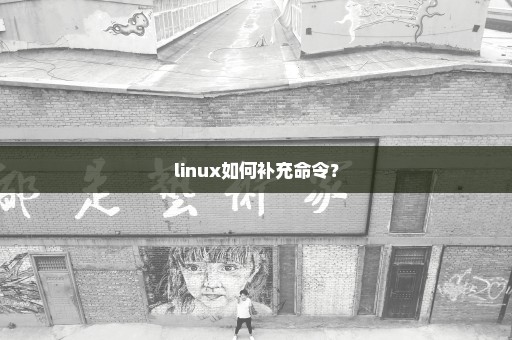 linux如何补充命令？