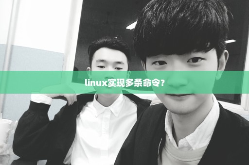 linux实现多条命令？