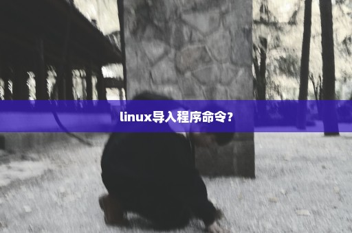 linux导入程序命令？