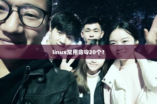 linux常用命令20个？