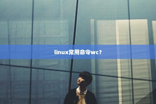 linux常用命令wc？