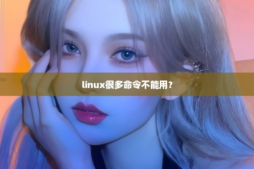 linux很多命令不能用？