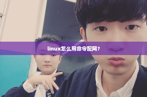 linux怎么用命令配网？