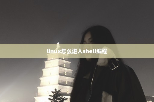 linux怎么进入shell编程