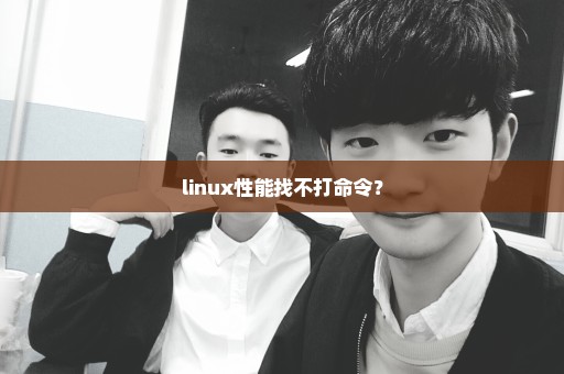 linux性能找不打命令？