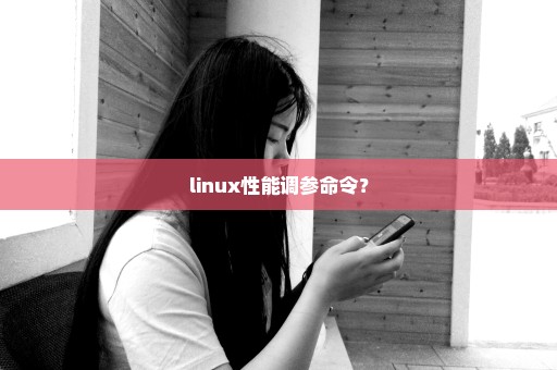 linux性能调参命令？