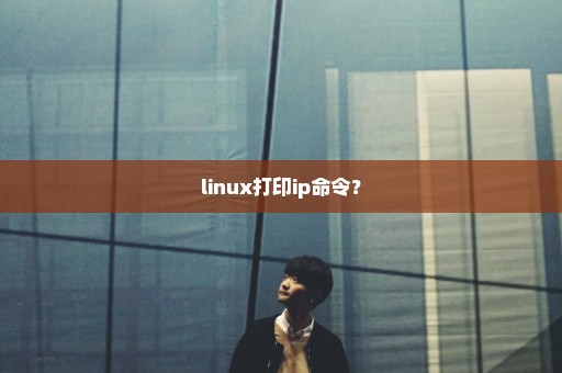 linux打印ip命令？