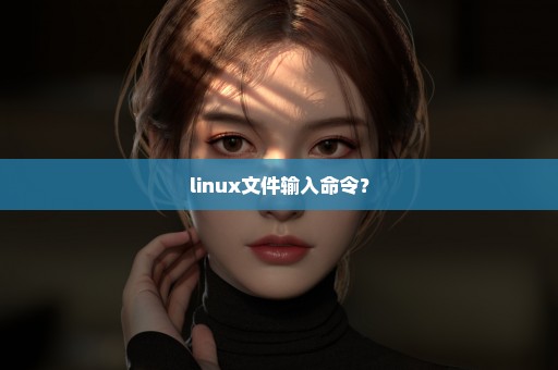linux文件输入命令？