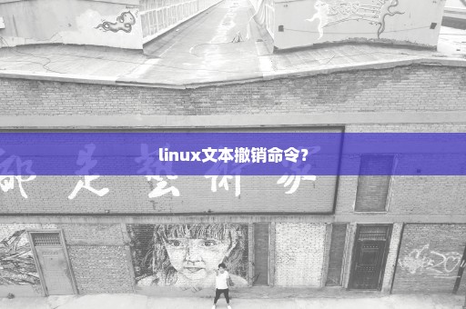 linux文本撤销命令？