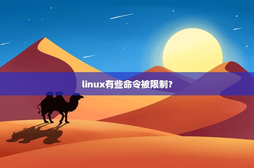 linux有些命令被限制？
