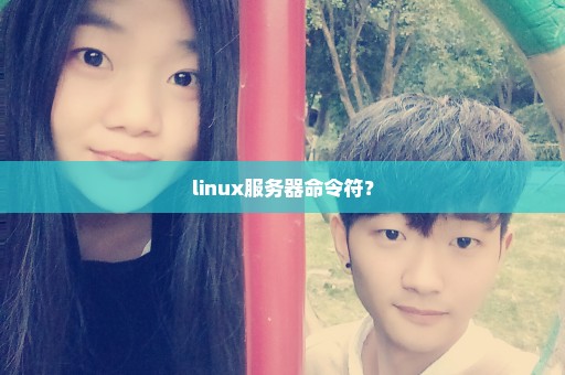 linux服务器命令符？