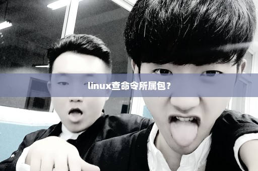 linux查命令所属包？
