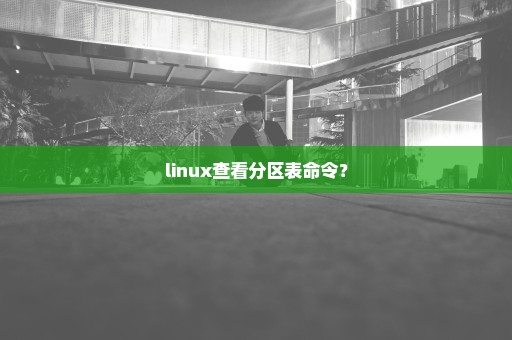 linux查看分区表命令？