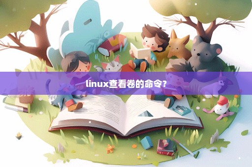 linux查看卷的命令？