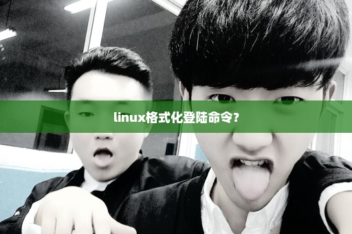 linux格式化登陆命令？