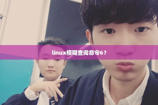 linux模糊查询命令6？