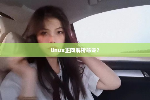 linux正向解析命令？