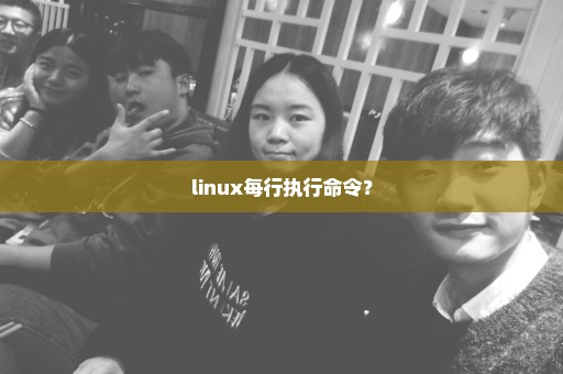 linux每行执行命令？